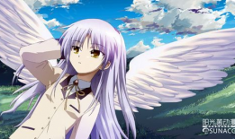 日本纯肉动漫推荐,盘点日本纯肉动漫的极致诱惑与禁忌之美